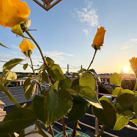 Corfu Airport Sweet Apartamento Corfu (city)